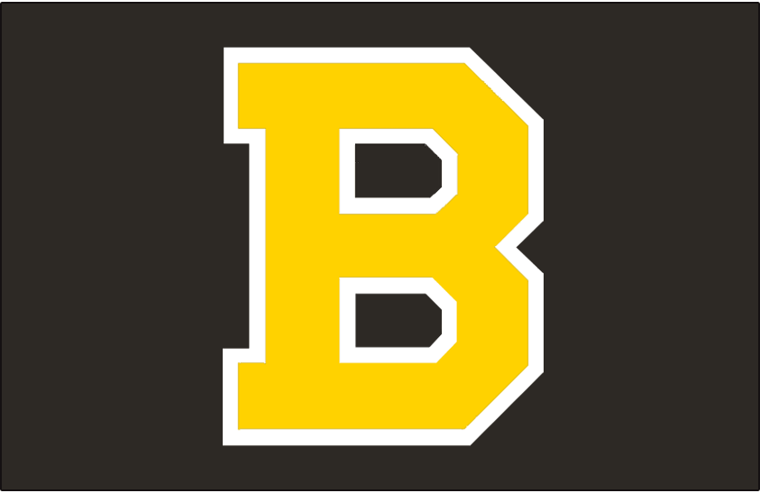 Boston Bruins 1948-1955 Jersey Logo iron on transfers for T-shirts